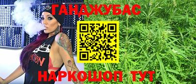 крисы Новокубанск