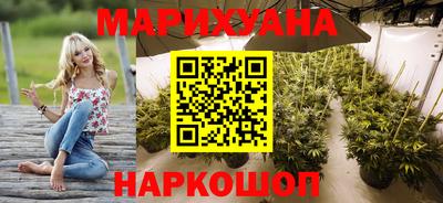 apvp Нальчик